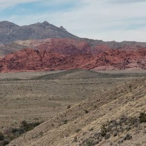 Meet your Posher, Elroy